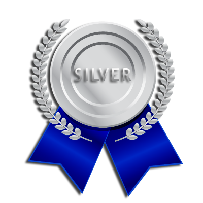 Silver SEO Package